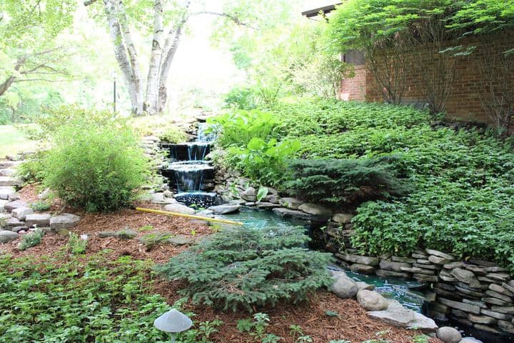 Garden view