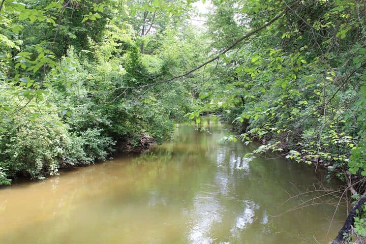 Water view
